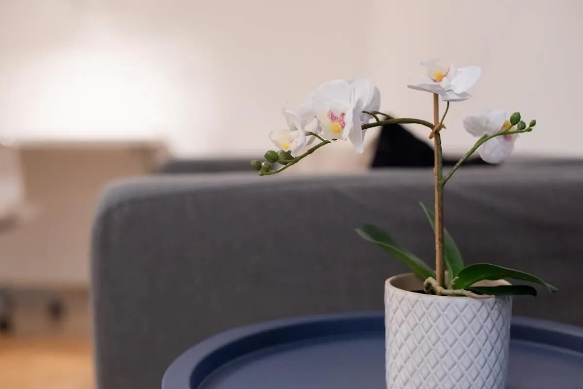 Comfortable Central And Quiet Apartment Budapest Hungary